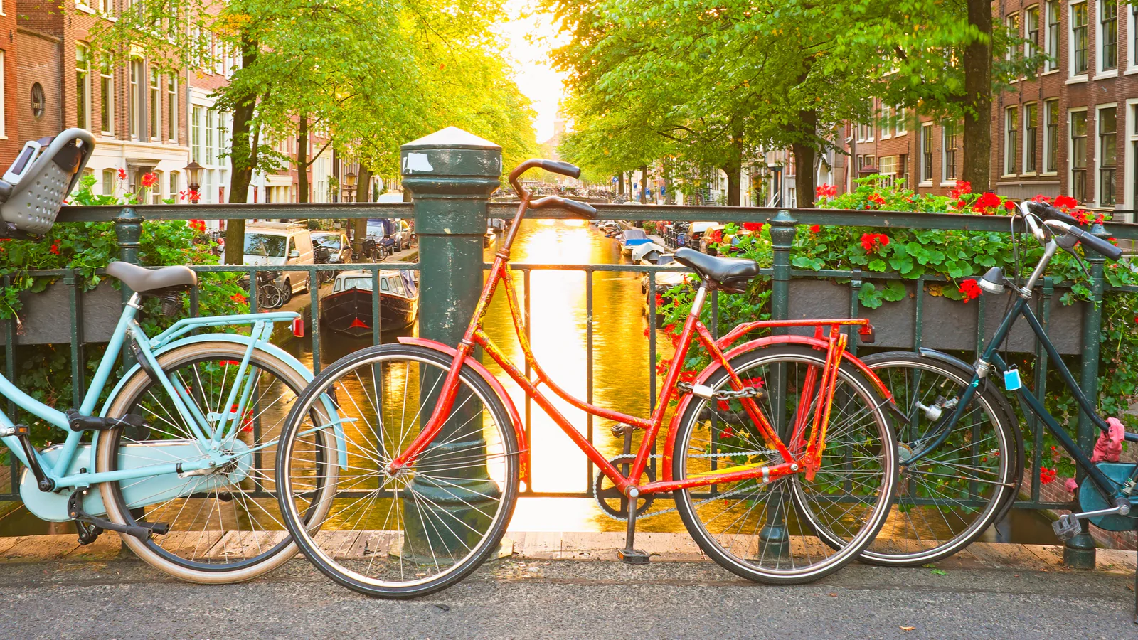 Purchasing a Bike